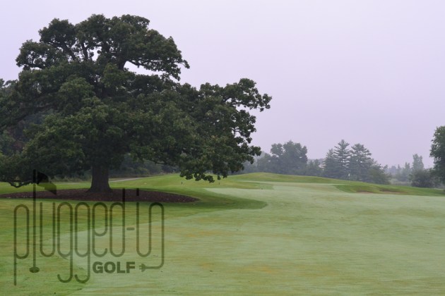 Stonewall Orchard Golf (25)