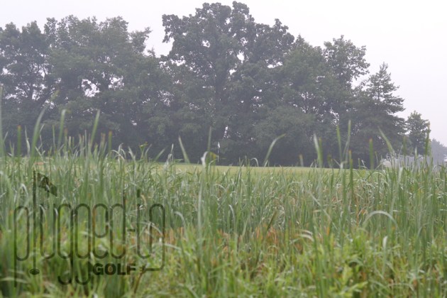 Stonewall Orchard Golf (7)