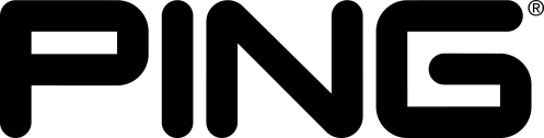ping_logo 2008_large