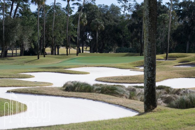 TPC Sawgrass (78)