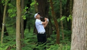 garcia_610_bmwpga14_d1_trees