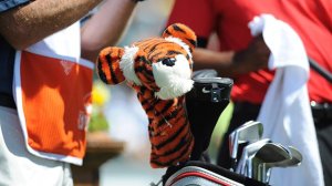 woods_tiger__clubs__0618