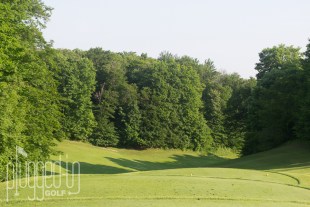 Treetops Masterpiece Golf Course (16)