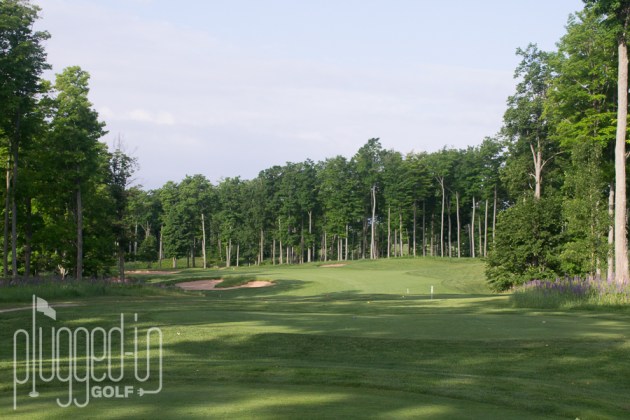 Treetops Tradition Golf Course (18)
