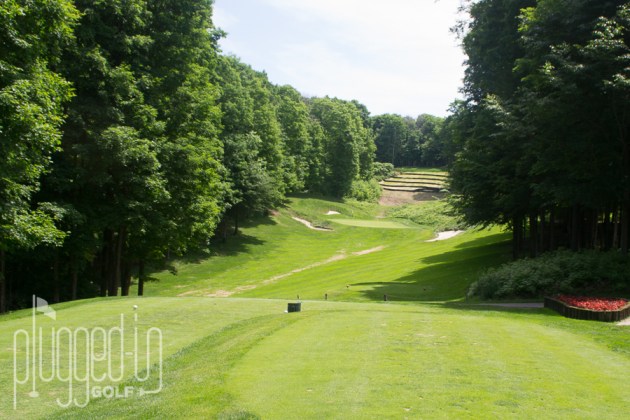 Treetops Threetops Golf Course (10)