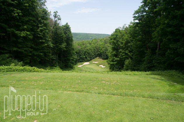 Treetops Threetops Golf Course (5)