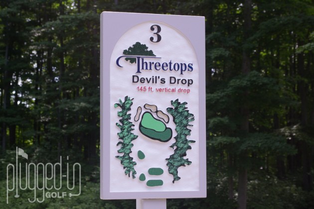 Treetops Threetops Golf Course (6)