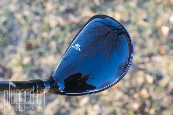 Cobra Fly-Z XL Hybrid_0060