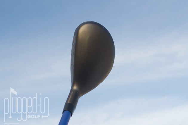 Adams Tight Lies Hybrid_0144