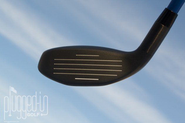 Adams Tight Lies Hybrid_0149