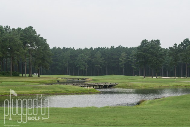 Man O War Golf Course_0178