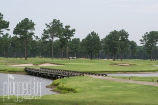 Man O War Golf Course_0207