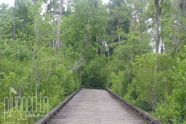 The Witch Golf Course_0157