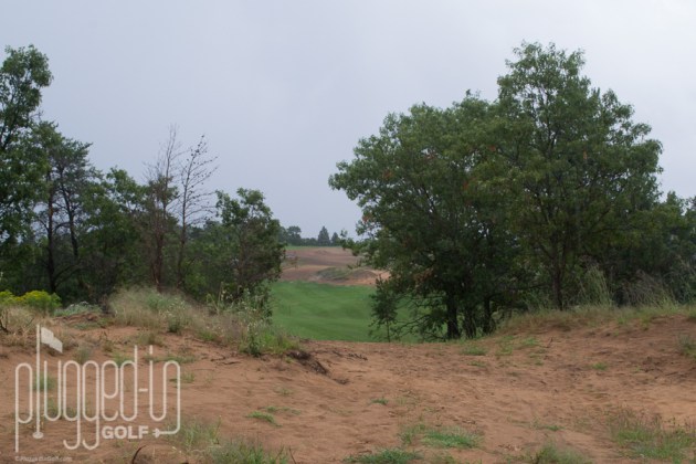 #9 through a gap in the trees