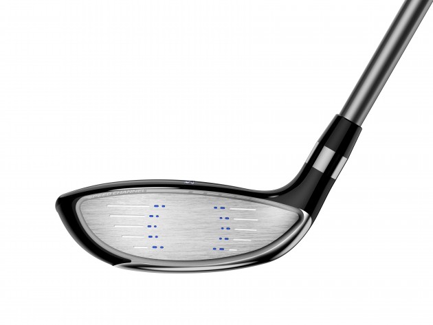 Max_hybrid_face_8bit_new