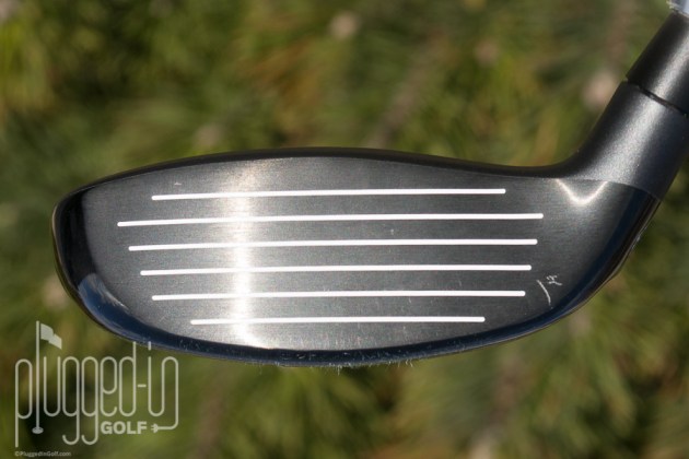 PXG 0317 Hybrid_0023