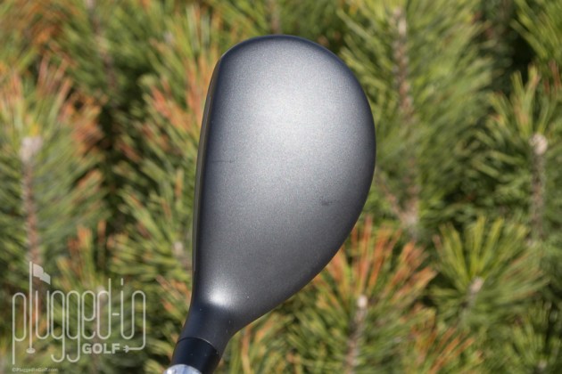 PXG 0317 Hybrid_0027