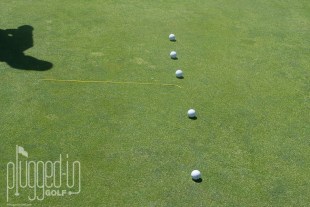 Edel Putter Fitting_0021