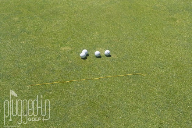 Edel Putter Fitting_0022