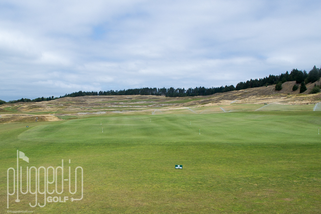 Chambers Bay Golf Course_0021