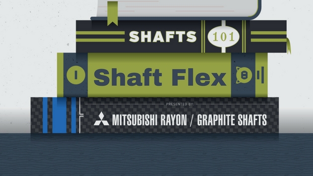 Shaft Flex