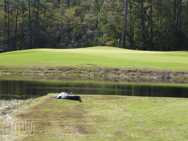 mystical-golf-post-hurricane5