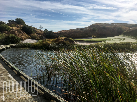 Streamsong Blue_4571