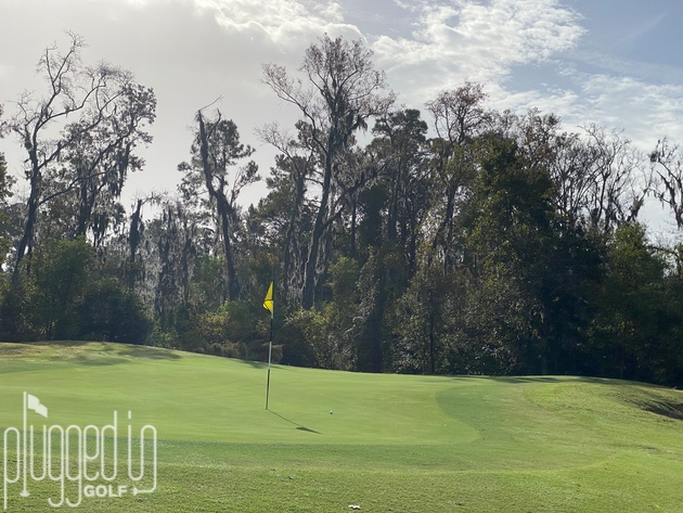 palmetto hall arthur hills golf course green