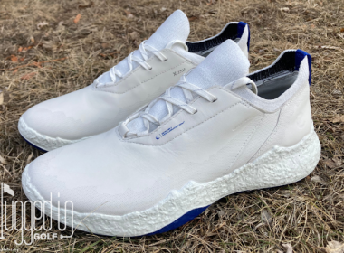 ECCO Biom H5 Golf Shoes 1
