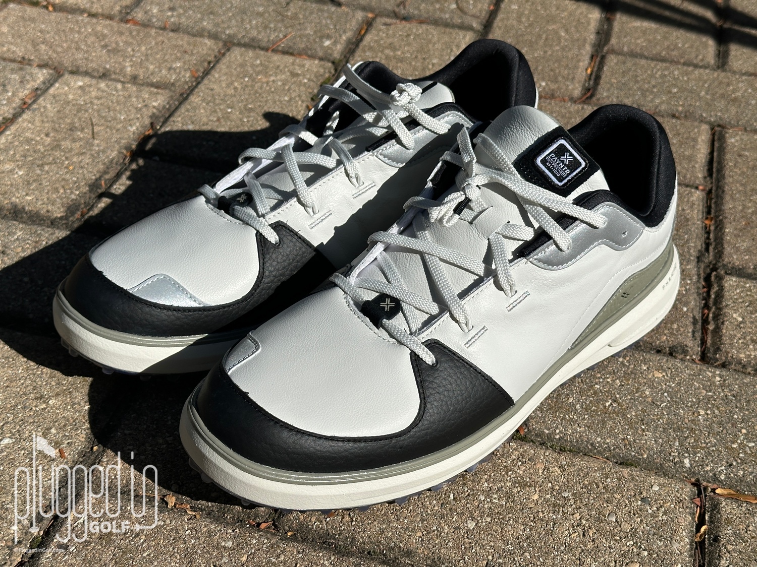 PAYNTR Sport Classic LE Golf Shoes_1030