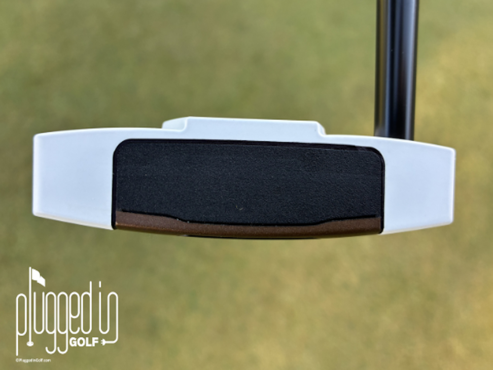 PING Scottsdale TEC Hayden Putter Review review