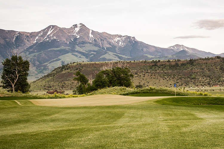 Golf News – May 15, 2026 review