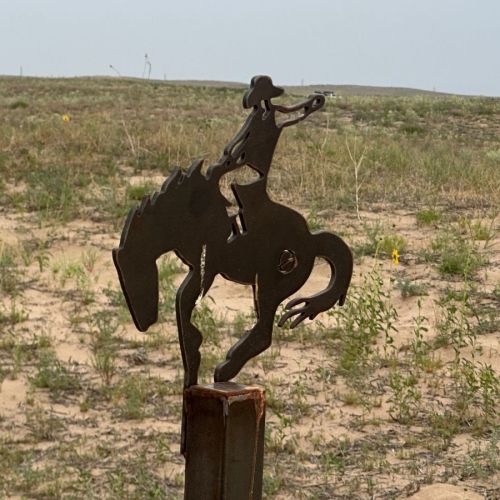 Rodeo Dunes