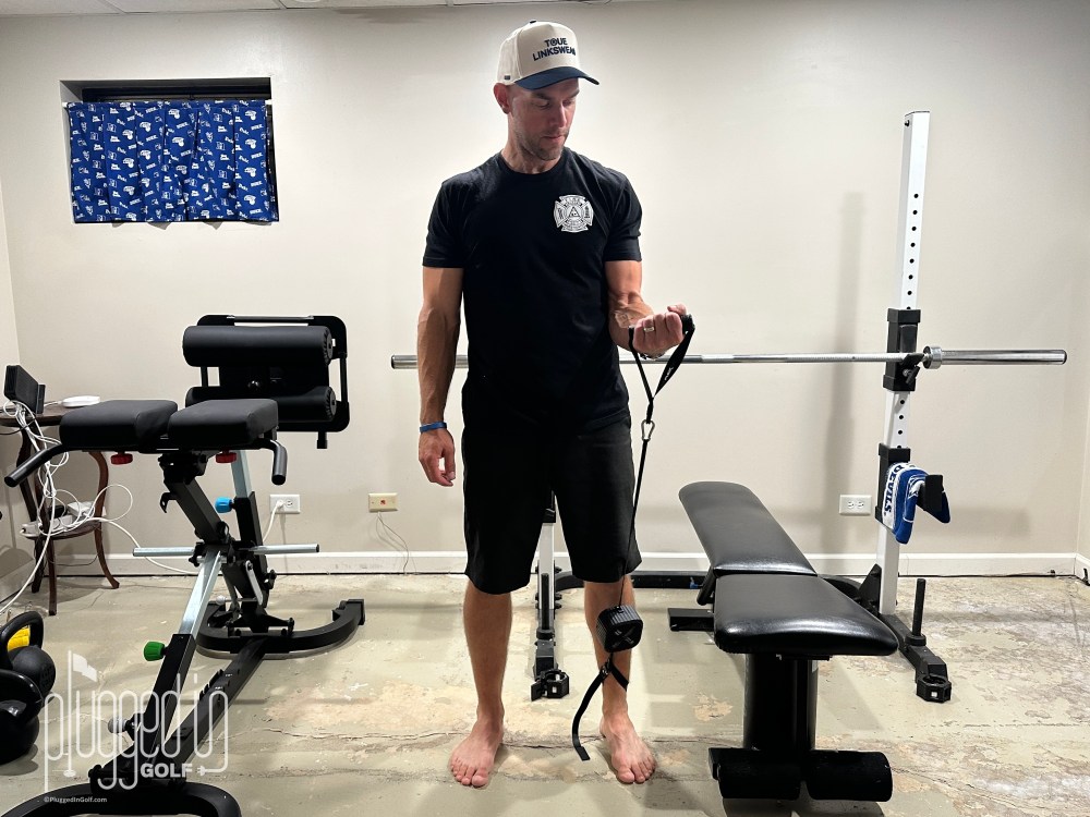 Shogun FLEX Review review