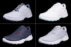 ECCO-BiomH6 ECCO-BiomH6