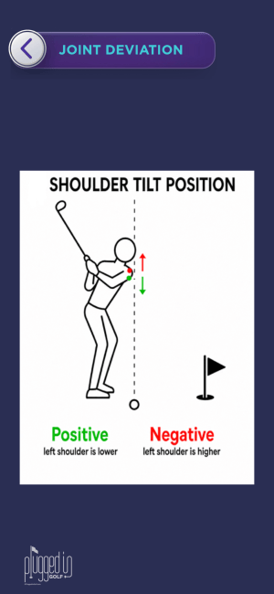 My Ultimate Swing Review review