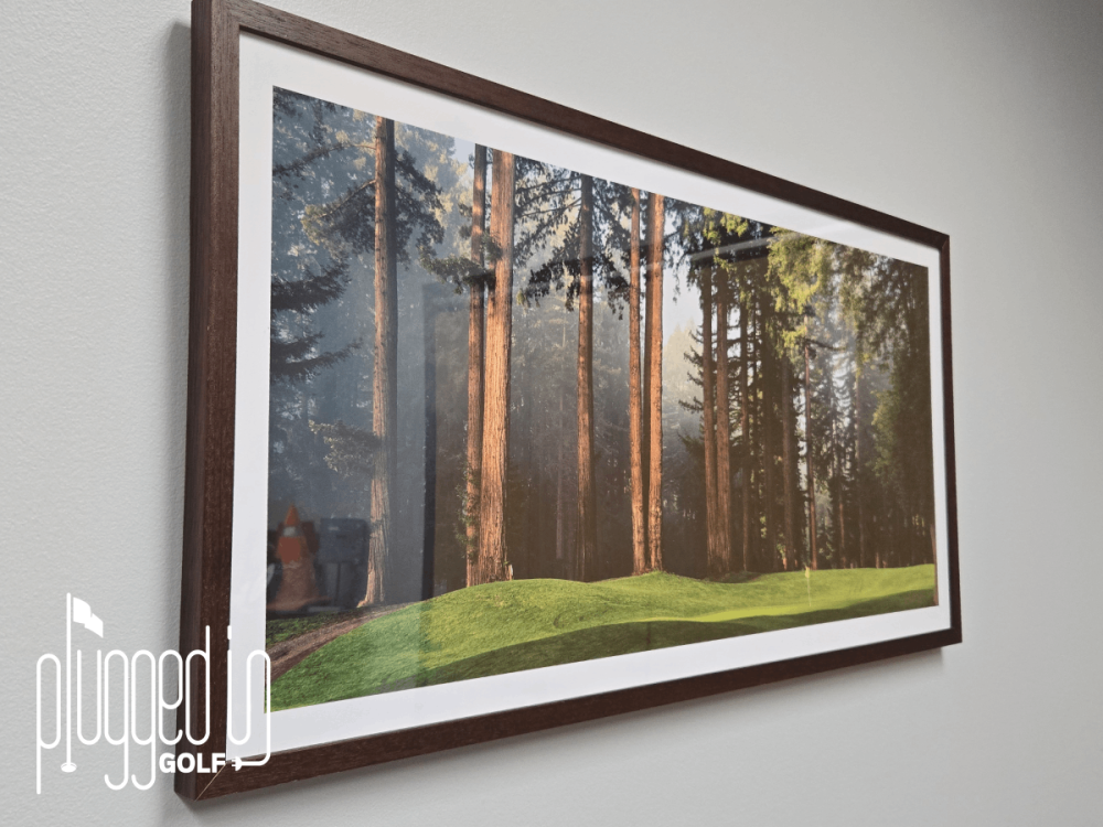 Par X Design - Among the Giants hung on the wall