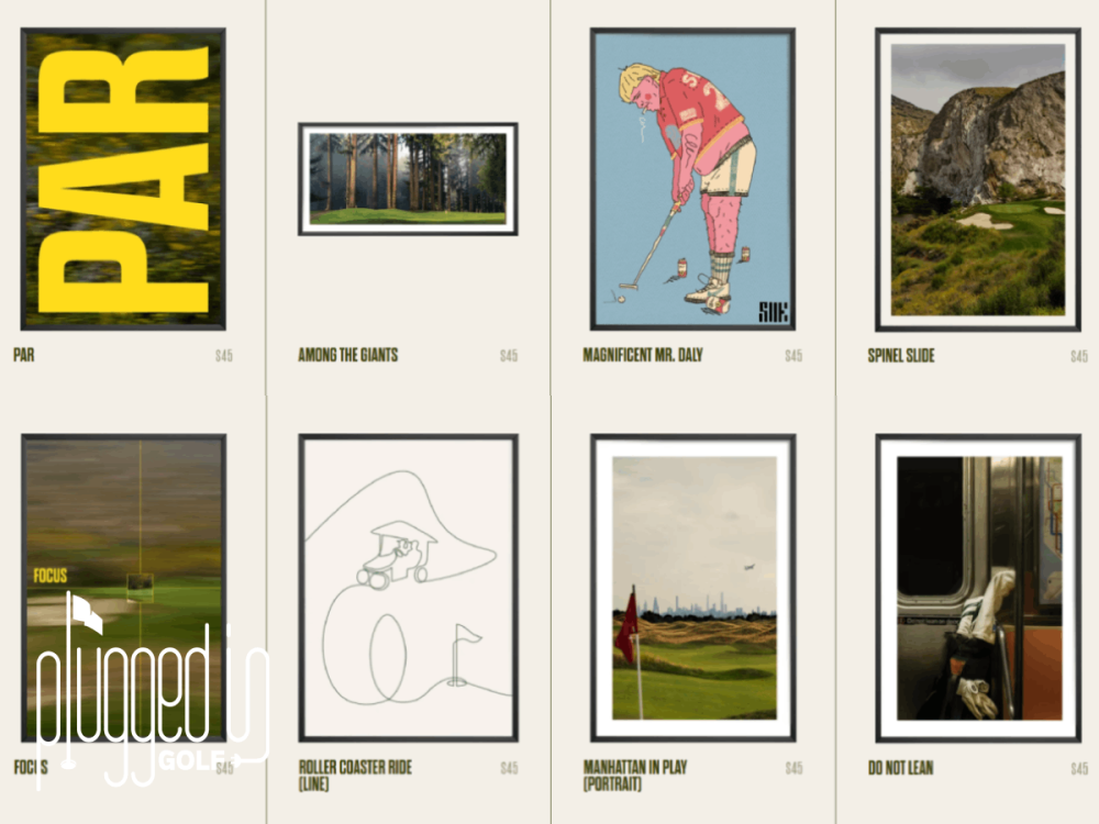 Par X Design gallery example 2